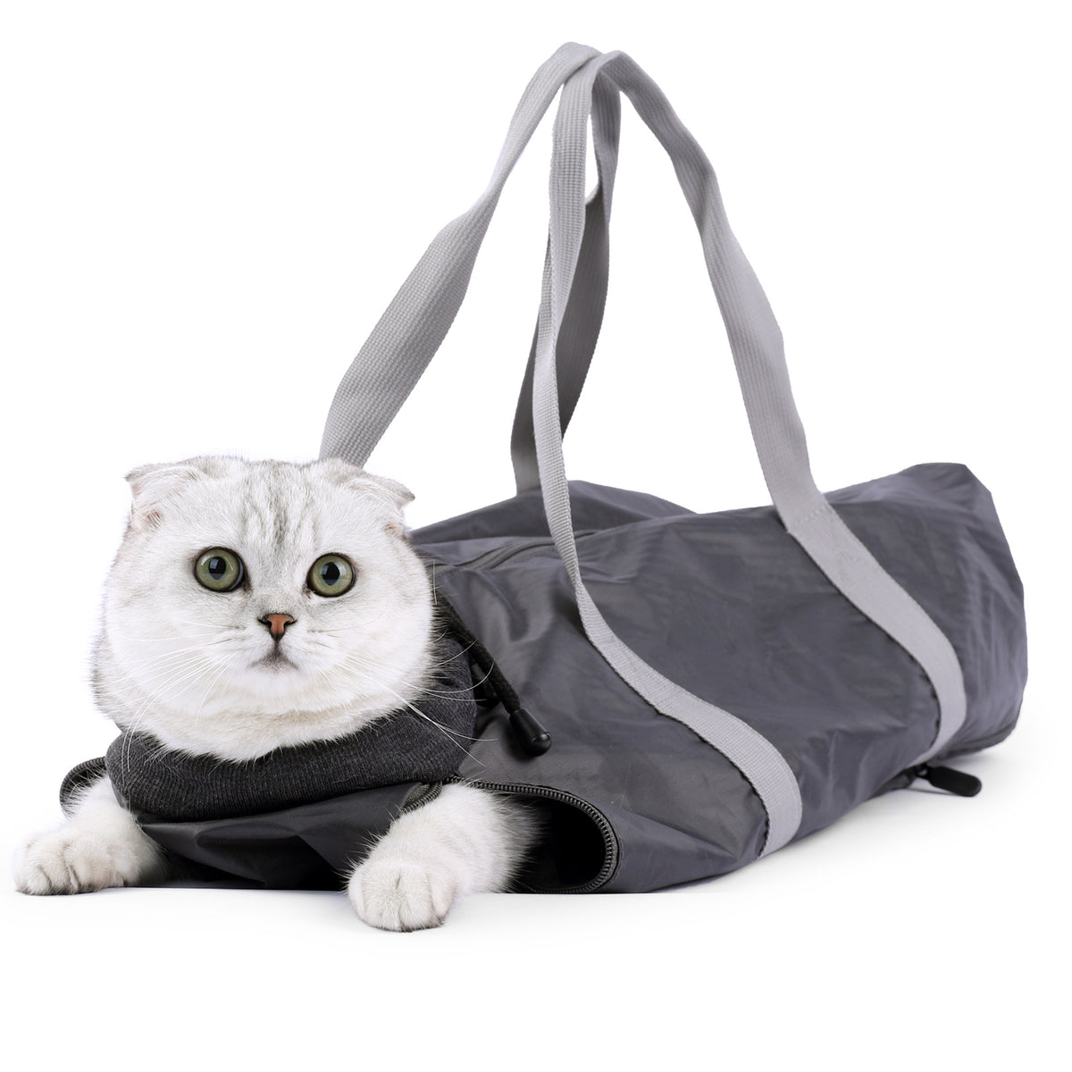 View details for Cat Travel Bag Double Lined Anti Scratch And Bite Pet Bags Cat Travel Bag Double Lined Anti Scratch And Bite Pet Bags