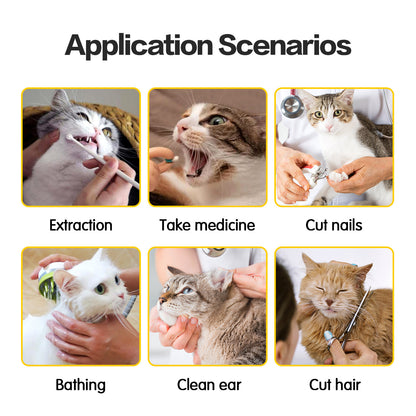View details for Cat Travel Bag Double Lined Anti Scratch And Bite Pet Bags Cat Travel Bag Double Lined Anti Scratch And Bite Pet Bags